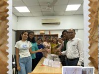 Paper Bag Day Activity